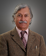 M. Qasim Jan